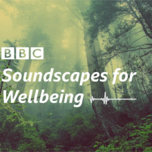 Mixing Music with Well-being